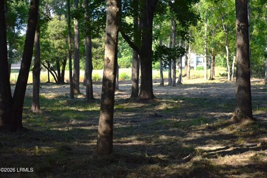 Come build your dream home on this nearly one acre homesite on - photo 8