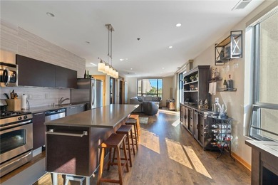 Bde Maka Ska Condo For Sale in Minneapolis Minnesota