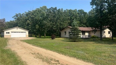 Lake Home For Sale in Osage, Minnesota