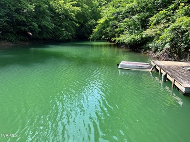 Very few Watauga Lake properties offer the whole cove, as this - photo 1