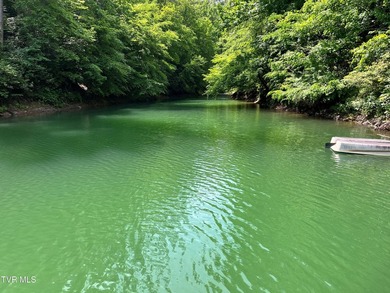 Very few Watauga Lake properties offer the whole cove, as this - photo 2