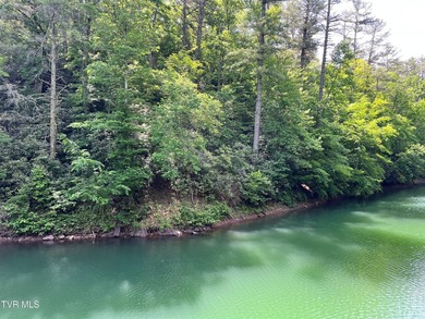 Very few Watauga Lake properties offer the whole cove, as this - photo 3