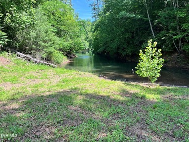 Very few Watauga Lake properties offer the whole cove, as this - photo 4