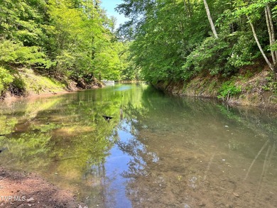 Very few Watauga Lake properties offer the whole cove, as this - photo 6