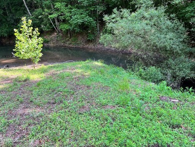Very few Watauga Lake properties offer the whole cove, as this - photo 7