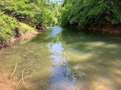 Very few Watauga Lake properties offer the whole cove, as this - photo 8