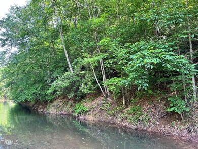 Very few Watauga Lake properties offer the whole cove, as this - photo 10