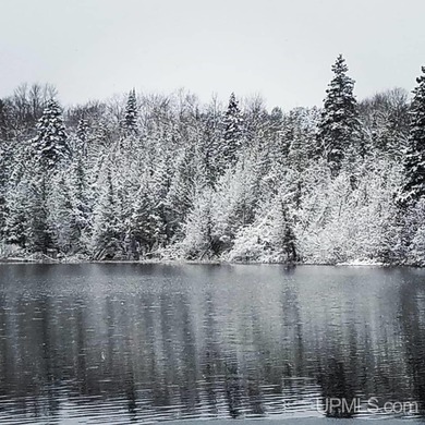 (private lake, pond, creek) Acreage For Sale in Newberry Michigan