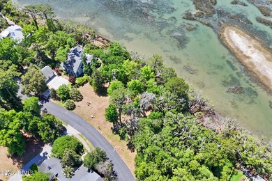 Marsh front Lot in Pinckney Retreat, Beaufort, SC. Build your - photo 8