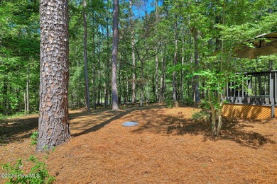 ONE OF THE BEST TURNKEY VALUES IN SAVANNAH LAKES VILLAGE Welcome - photo 43