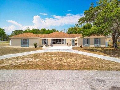 Lake Home For Sale in Howey IN The Hills, Florida