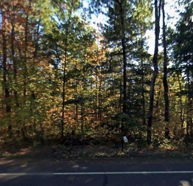 Lac Courte Oreilles Lot For Sale in Hayward Wisconsin