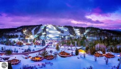 (private lake, pond, creek) Condo For Sale in Mancelona Michigan