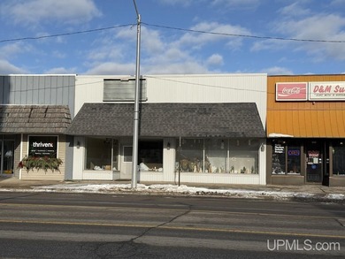 Lake Michigan - Delta County Commercial For Sale in Escanaba Michigan