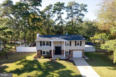 Lake Home For Sale in Browns Mills, New Jersey