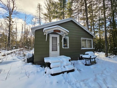 Lake Home For Sale in Gwinn, Michigan