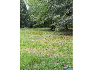 Two prime lots with water access to beautiful Weiss Lake! These - photo 2