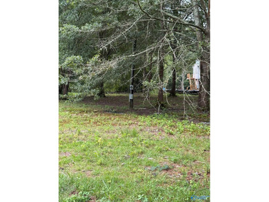 Two prime lots with water access to beautiful Weiss Lake! These - photo 3