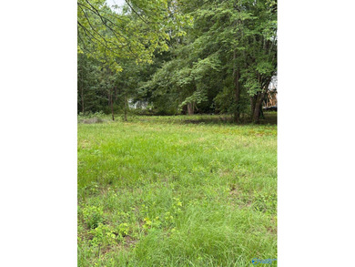 Two prime lots with water access to beautiful Weiss Lake! These - photo 4