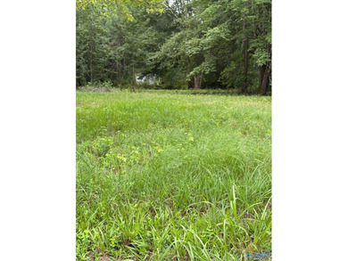 Two prime lots with water access to beautiful Weiss Lake! These - photo 5