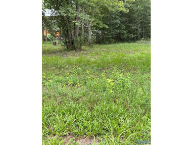 Two prime lots with water access to beautiful Weiss Lake! These - photo 6