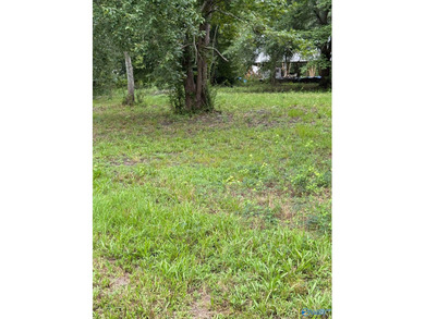 Two prime lots with water access to beautiful Weiss Lake! These - photo 7