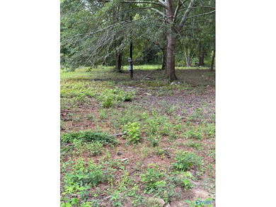 Two prime lots with water access to beautiful Weiss Lake! These - photo 8