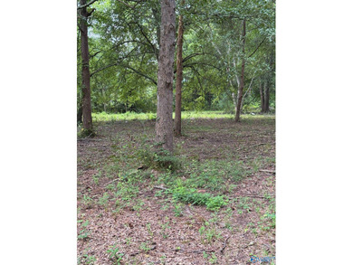 Two prime lots with water access to beautiful Weiss Lake! These - photo 9