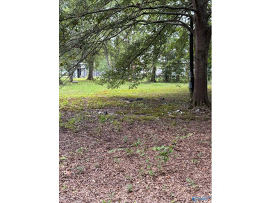 Two prime lots with water access to beautiful Weiss Lake! These - photo 10