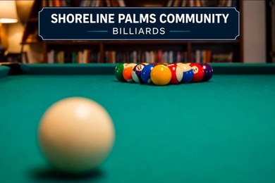 DON'T SETTLE FOR LESS THAN THE BEST - WELCOME TO SHORELINE PALMS - photo 22