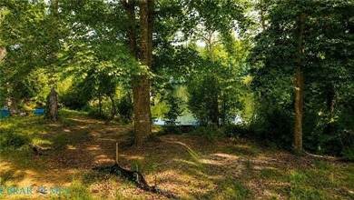 Rare opportunity to build your waterfront home on beautiful - photo 3