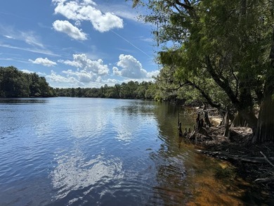 Suwannee River Home For Sale in Old Town Florida
