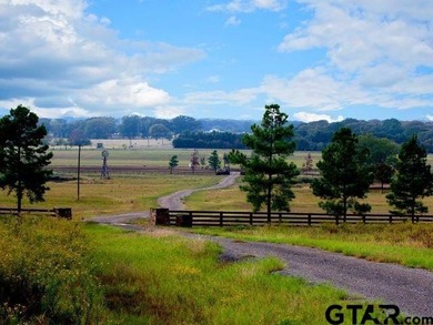 Lot 24 is on a corner lot at the entrance to an interior cul de - photo 20