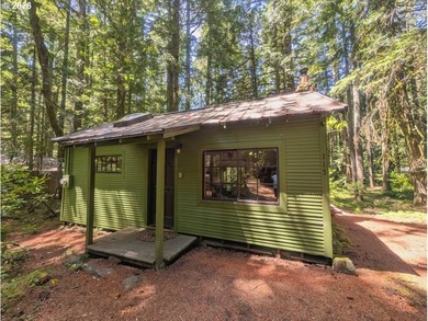 Built in 1930 and tucked among towering firs in the Mt. Hood - photo 2