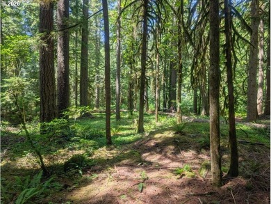 Built in 1930 and tucked among towering firs in the Mt. Hood - photo 3