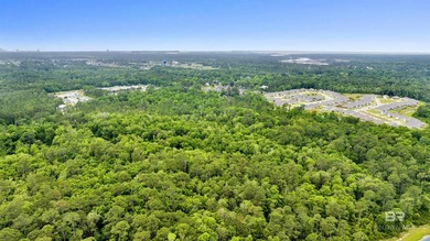 Exceptional opportunity to acquire approximately 17.67 acres - photo 5