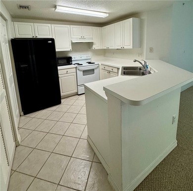 Rarely available 1st floor 2 bedroom condo with garage and - photo 3
