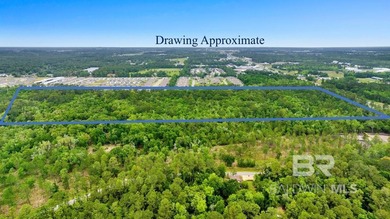 Rare opportunity to acquire approximately 48+/- acres featuring - photo 4