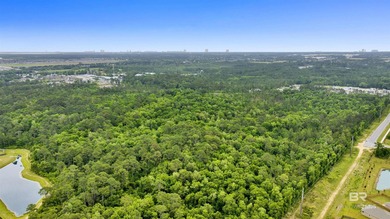 Rare opportunity to acquire approximately 48+/- acres featuring - photo 6