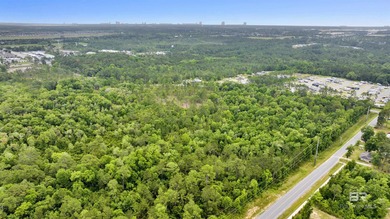 Rare opportunity to acquire approximately 48+/- acres featuring - photo 7