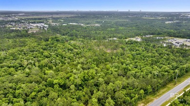 Rare opportunity to acquire approximately 48+/- acres featuring - photo 8