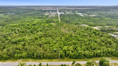 Rare opportunity to acquire approximately 48+/- acres featuring - photo 9