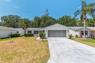 Lake Home Sale Pending in Lady Lake, Florida