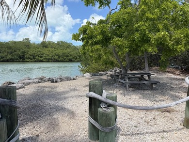 Experience the ultimate Florida Keys waterfront lifestyle with - photo 25
