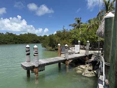Experience the ultimate Florida Keys waterfront lifestyle with - photo 32