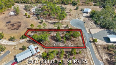 KEATON BEACH LOVERS! Welcome to this 0.69-acre lot in the gated - photo 1