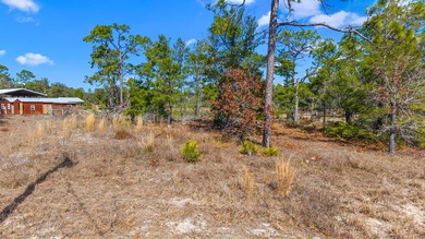 KEATON BEACH LOVERS! Welcome to this 0.69-acre lot in the gated - photo 4
