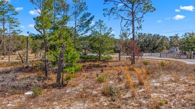 KEATON BEACH LOVERS! Welcome to this 0.69-acre lot in the gated - photo 7
