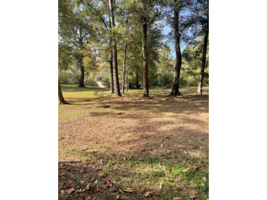 Dixie Lake Lot For Sale in Carthage Texas