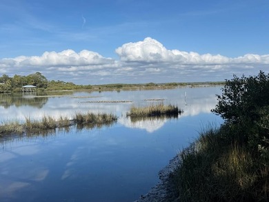 (private lake, pond, coastal) Lot For Sale in Cedar Key Florida